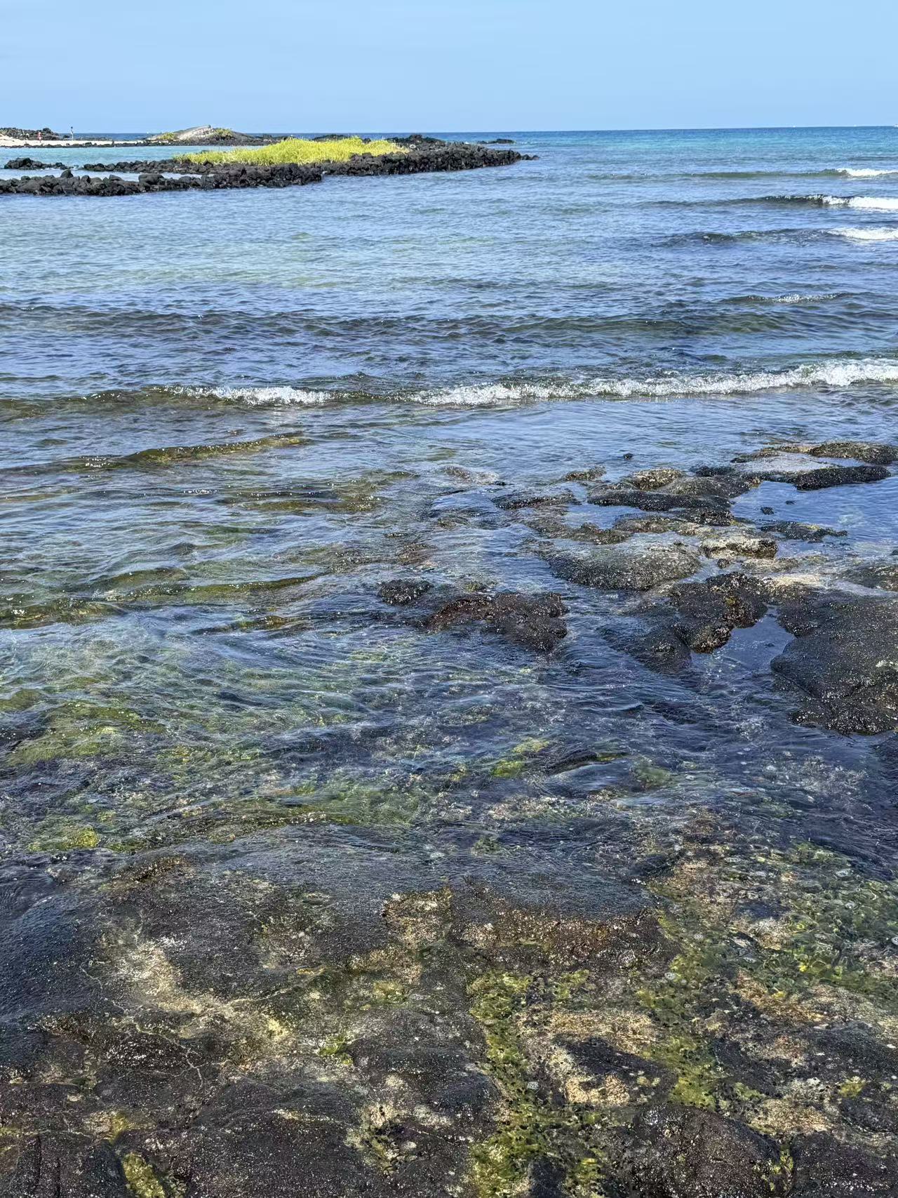 Shallow tropical reef water